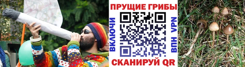 Галлюциногенные грибы GOLDEN TEACHER Белореченск